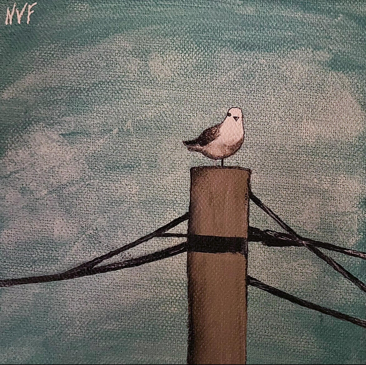 Birdie outside my window